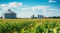Cornfield with silos and farm in the distance
