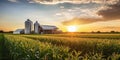 Cornfield with silos and farm in the distance