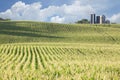 Cornfield and silos on sunny day with clouds