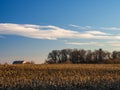 Cornfield and Barn in Autumn at Sunset