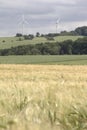 Cornfield with windenergy - portrait Royalty Free Stock Photo