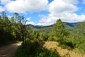 Cornfields and pine trees in Capulalpam de Mendez in the highlands of Oaxaca