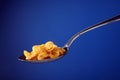 Cornflakes Royalty Free Stock Photo