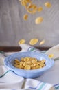 Image of Cereales or cornflakes with space for your text Royalty Free Stock Photo