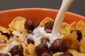 Cornflakes with chocolate balls sliced banana and stream of milk Royalty Free Stock Photo
