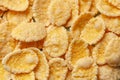 Cornflakes dry breakfast. Yellow flakes texture closeup.