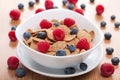 Cornflakes with fresh berries Royalty Free Stock Photo