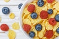 Cornflakes with fresh berries raspberry and blueberry Royalty Free Stock Photo