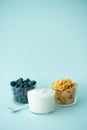 cornflakes with greek yogurt milk and berries Royalty Free Stock Photo