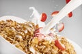 Cornflakes Liquid Royalty Free Stock Photo