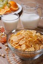 Cornflakes with milk and dried fruit. Royalty Free Stock Photo