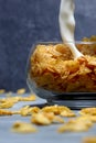 Cornflakes with milk