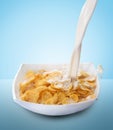 Cornflakes and Milk Splash Royalty Free Stock Photo