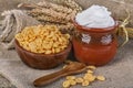 Cornflakes and sour cream Royalty Free Stock Photo