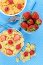 Cornflakes in two bowls with berries