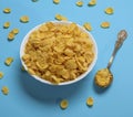 Cornflakes in a white ceramic plate and an iron spoon