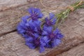 Cornflower blue wild flowers on an old wooden Royalty Free Stock Photo