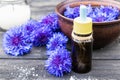 Cornflower essential oil. Cornflower flowers