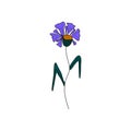 Cornflower flower icon. Idea for invitation, greeting, wedding, celebration. Logo, icons, decor.