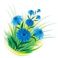 Cornflower and grass