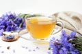 Cornflower herbal healthy tea on white background, natural remedy for pms, stress, anxiety, calming drink