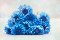 Cornflower plant with blue flowers, beautiful card on light background