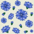 Cornflowers