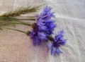 Cornflowers, barley ears on the linen cloth Royalty Free Stock Photo