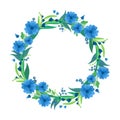 Cornflowers and daisy blossoms cartoon decor element. Royalty Free Stock Photo