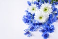 Cornflowers and daisy bouquet Royalty Free Stock Photo