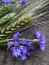 Cornflowers and ears of barley Royalty Free Stock Photo