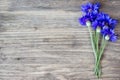 Cornflowers on the old wooden table Royalty Free Stock Photo