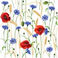 Cornflowers, Poppies and Wheat Ears Pattern