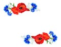 Cornflowers,poppies on a white background. Floral vector illustration