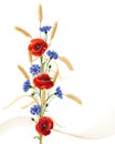 Cornflowers, poppy flowers and wheat ears bunch Royalty Free Stock Photo