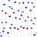 Cornflowers. Watercolor hand drawn flowers. Seamless pattern. Abstract background for design.