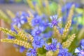 Cornflowers and wheat