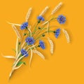 Cornflowers and wheat ears on orange Royalty Free Stock Photo
