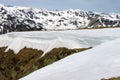 Cornice in Parang - Romania Royalty Free Stock Photo