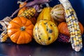 Cornicopia of fall veg on a black background. Calgary Alberta Canada Royalty Free Stock Photo