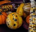 Cornicopia of fall veg on a black background. Calgary Alberta Canada Royalty Free Stock Photo