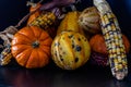 Cornicopia of fall veg on a black background. Calgary Alberta Canada Royalty Free Stock Photo