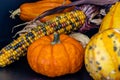 Cornicopia of fall veg on a black background. Calgary Alberta Canada Royalty Free Stock Photo