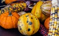 Cornicopia of fall veg on a black background. Calgary Alberta Canada Royalty Free Stock Photo