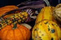 Cornicopia of fall veg on a black background. Calgary Alberta Canada Royalty Free Stock Photo