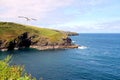 Cornish coastline.