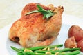 Cornish Hen Royalty Free Stock Photo