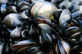 Cornish mussels