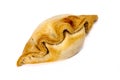 Cornish pasty Royalty Free Stock Photo