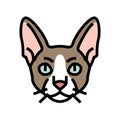 cornish rex cat cute pet color icon vector illustration